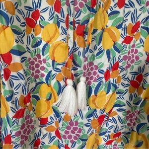 J. Crew Multicolor Floral Fruit Dress